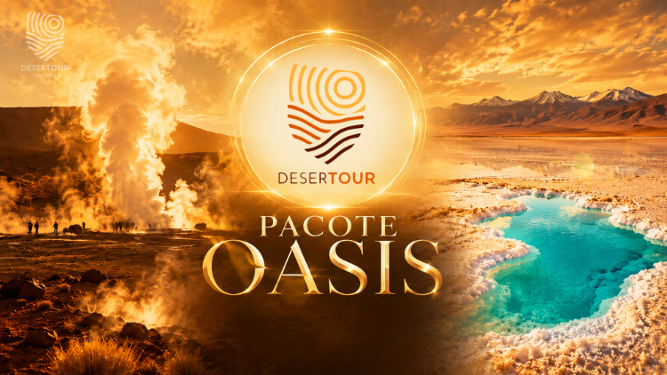 PACOTE OASIS 